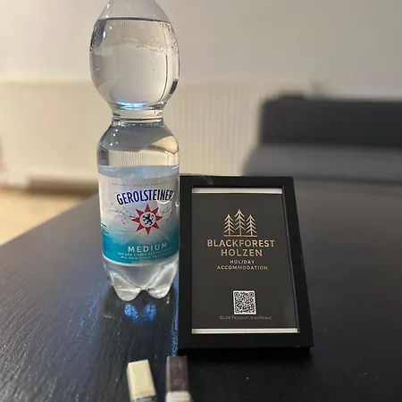 Montage- Pendlerwohnung Kandern, Loerrach, Basel D,ch,fr Kandern