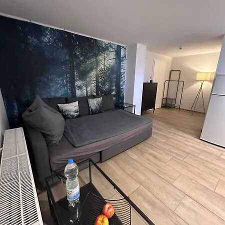 Apartament Montage- Pendlerwohnung Kandern, Loerrach, Basel D,ch,fr Kandern