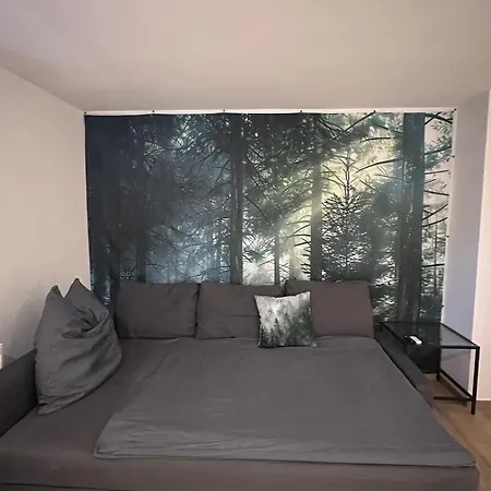 Montage- Pendlerwohnung Kandern, Loerrach, Basel D,ch,fr Kandern